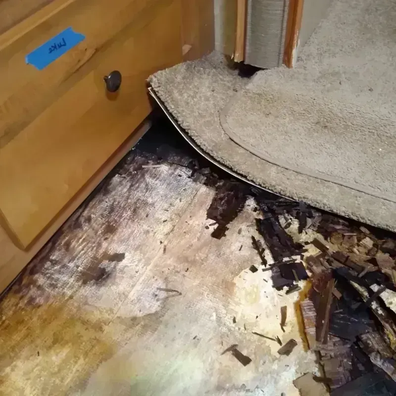 Wood Floor Water Damage in Smokey Point, WA